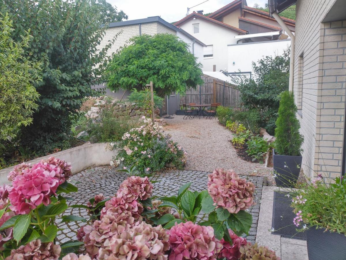 By Vollmer'S Komfortabel Und Chic Apartman Offenburg Kültér fotó